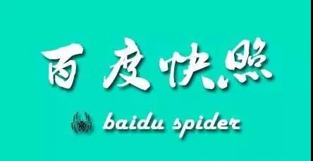 seo百度当天快照软件_百度快照在哪_百度只更新快照不收录网站