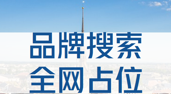 从品牌搜索占位全网排名，看中小企业如何通过搜索引擎占领市场